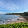carolinemoli439